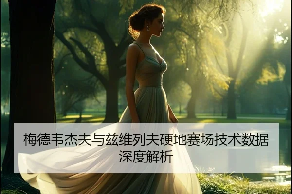 梅德韦杰夫与兹维列夫硬地赛场技术数据深度解析 | bbsports